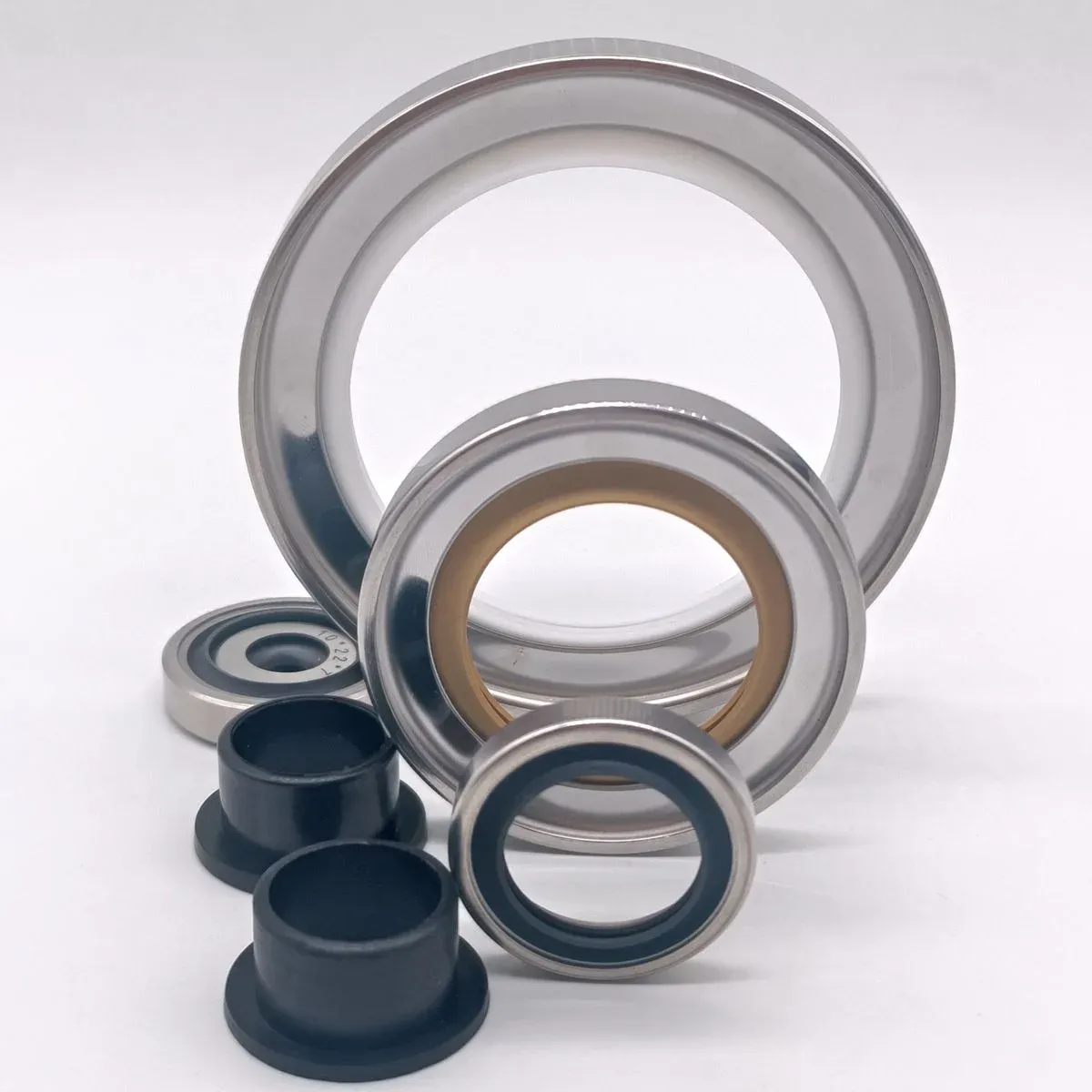 Energized PTFE Oil Seals