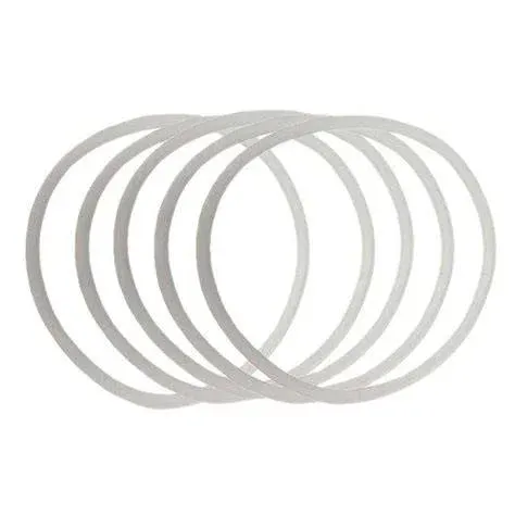Chemical-Resistant Industrial Gasket