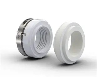 Dual PTFE Bellows Seal