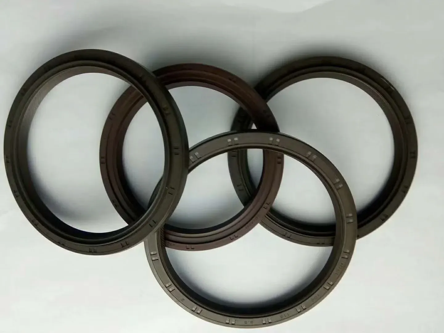 Energized PTFE Oil Seal
