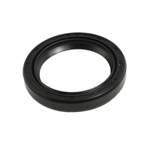 Energized PTFE Rotary Shaft Seal