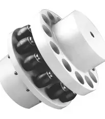 Pin-and-Bush Flexible Coupling