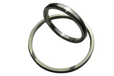 Precision-Cut Ring Gasket