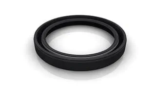 Self-Energized Radial Oil Seal