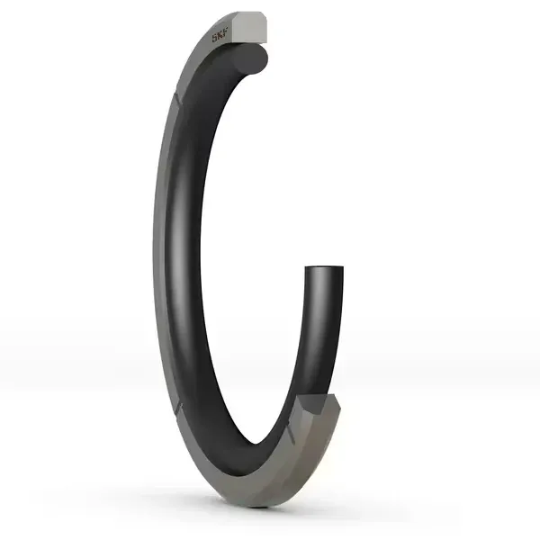 Energized PTFE Oil Seals